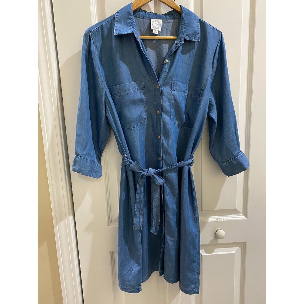 DONATED Francesca’s Blue Rain Dress